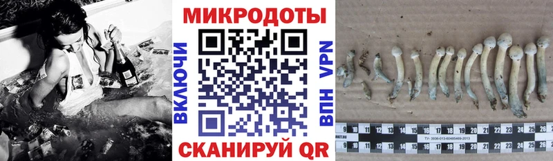 Псилоцибиновые грибы прущие грибы даркнет сайт Крымск